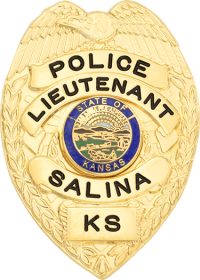 Eagle Topped Badge S295-A